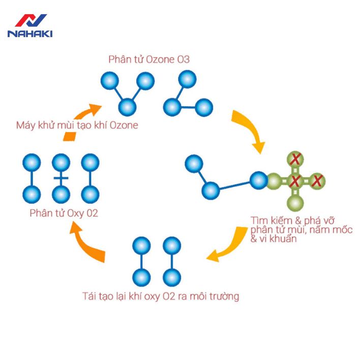 cong-nghe-say-tu-bat-diet-khuan-ozone-hien-dai