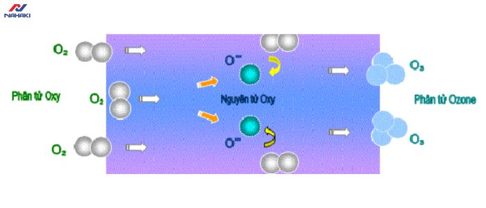 cong-nghe-say-tu-bat-diet-khuan-ozone-hien-dai